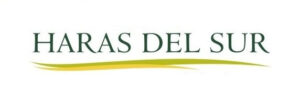 th_d15ca006a1f06a08a6ed10efe5d181ed_logo-GrupoHdS